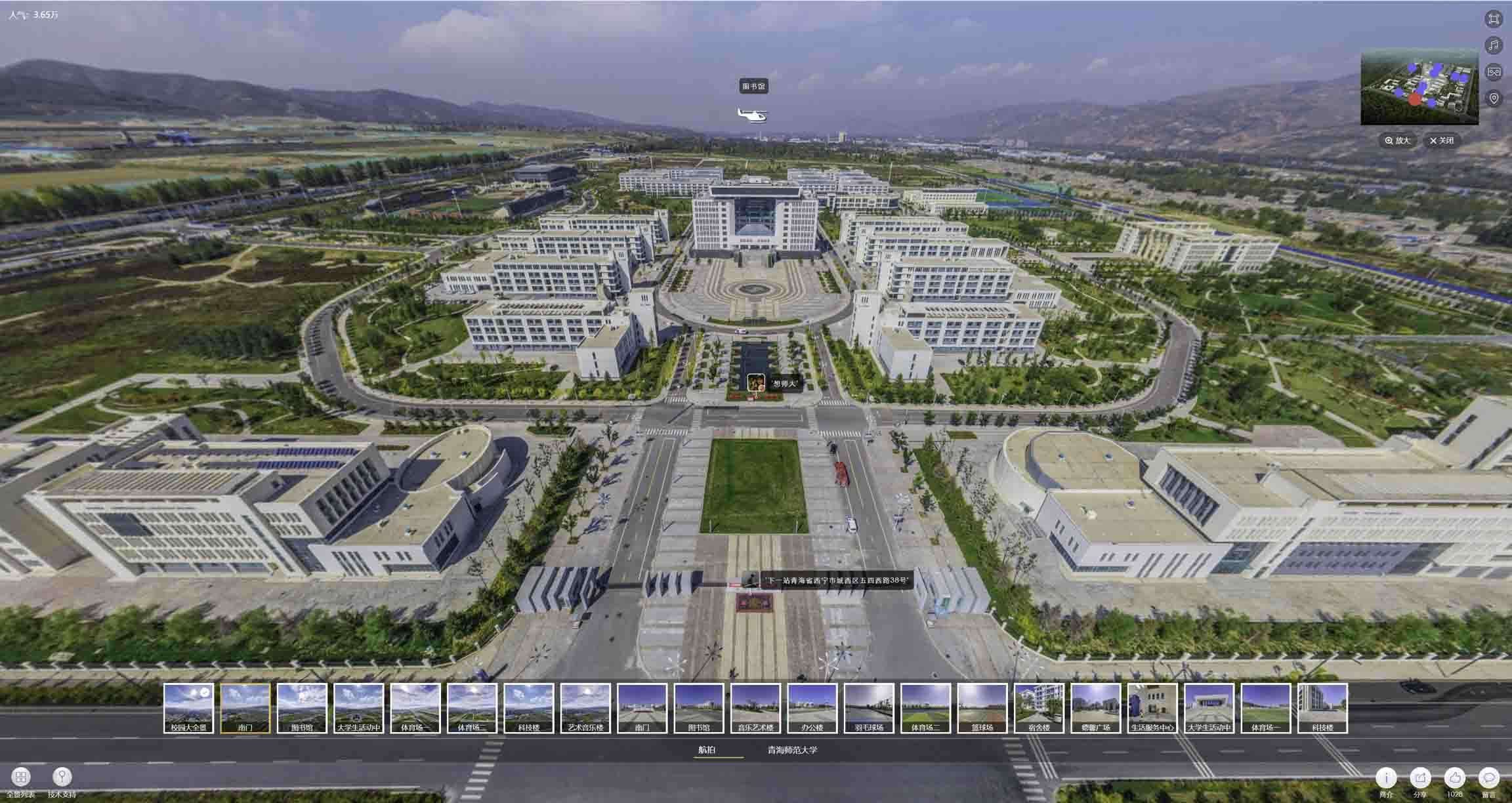 虎门镇油菜花-惊艳半生的花海仙境